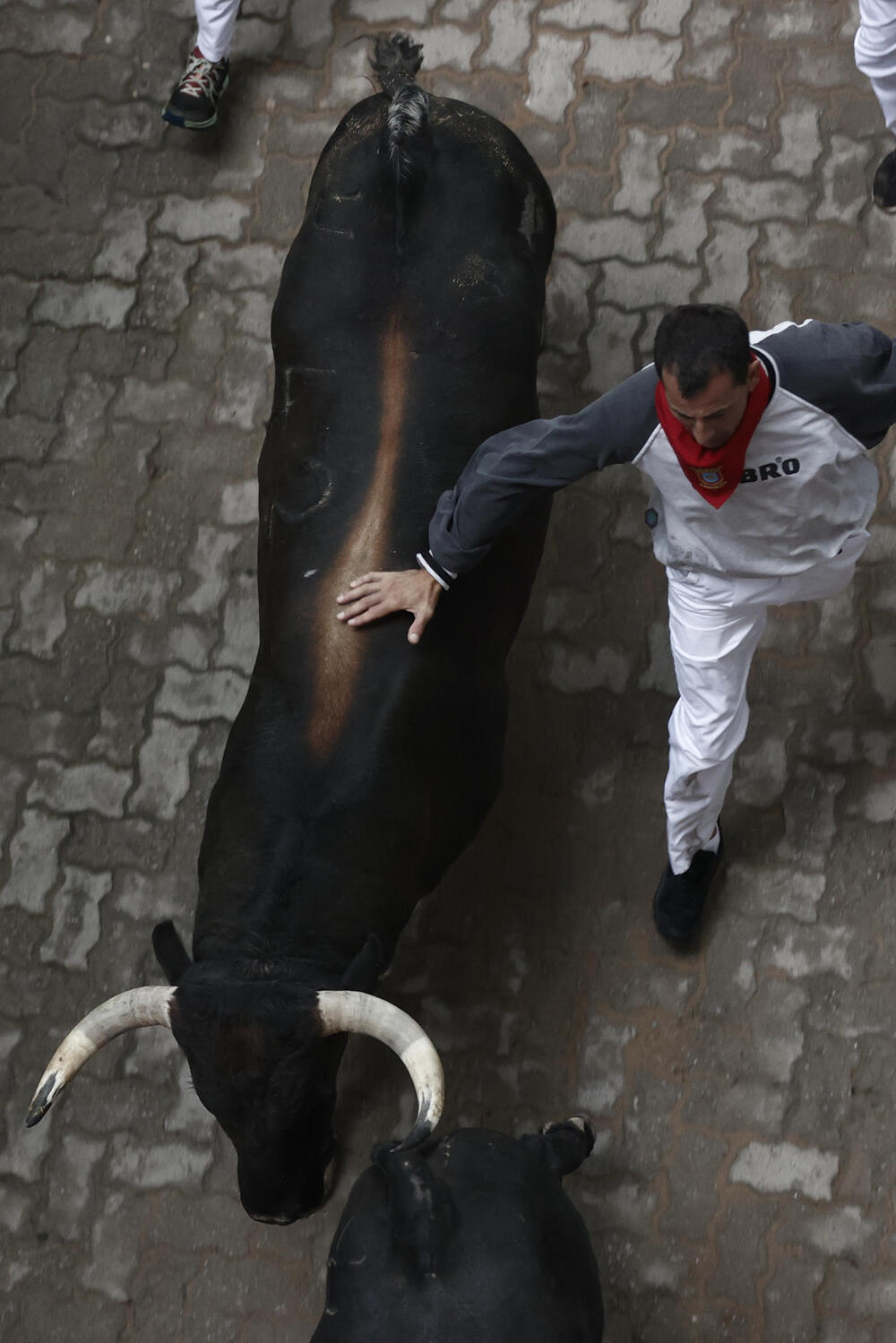 Tercer encierro de los sanfermines 2023  / JESUS DIGES