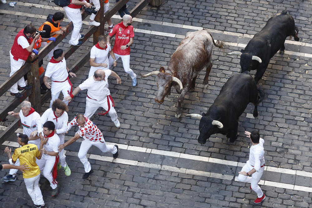 Octavo encierro de San Fermín  / RODRIGO JIMÉNEZ / EFE