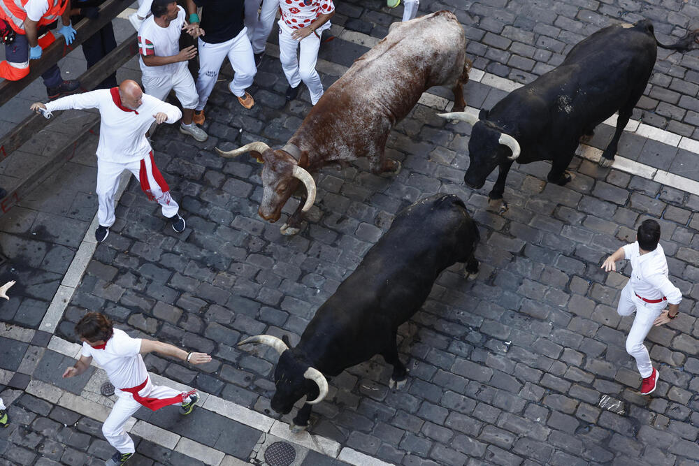 Octavo encierro de San Fermín  / RODRIGO JIMÉNEZ / EFE