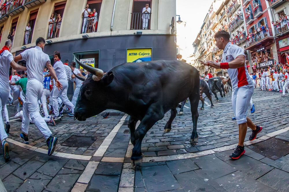 Octavo encierro de San Fermín  / RODRIGO JIMÉNEZ / EFE