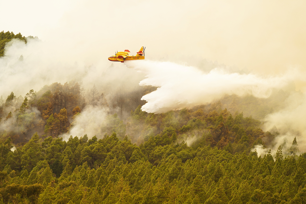 7.600 personas evacuadas en Tenerife en el incendio  / AGENCIAS