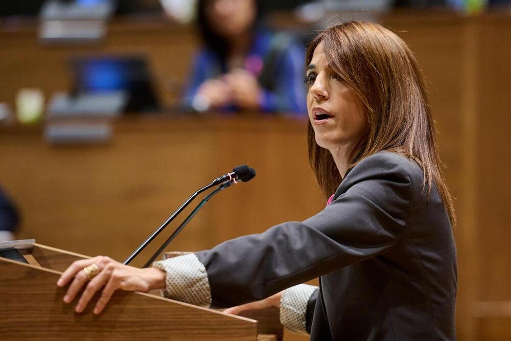 Mª Jesús Valdemoros, parlamentaria de UPN. - PARLAMENTO DE NAVARRA