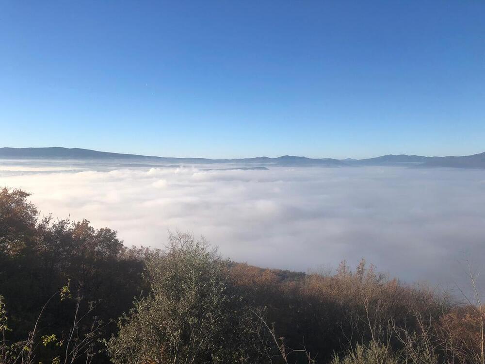 La niebla y el frío protagoniza el inicio de semana