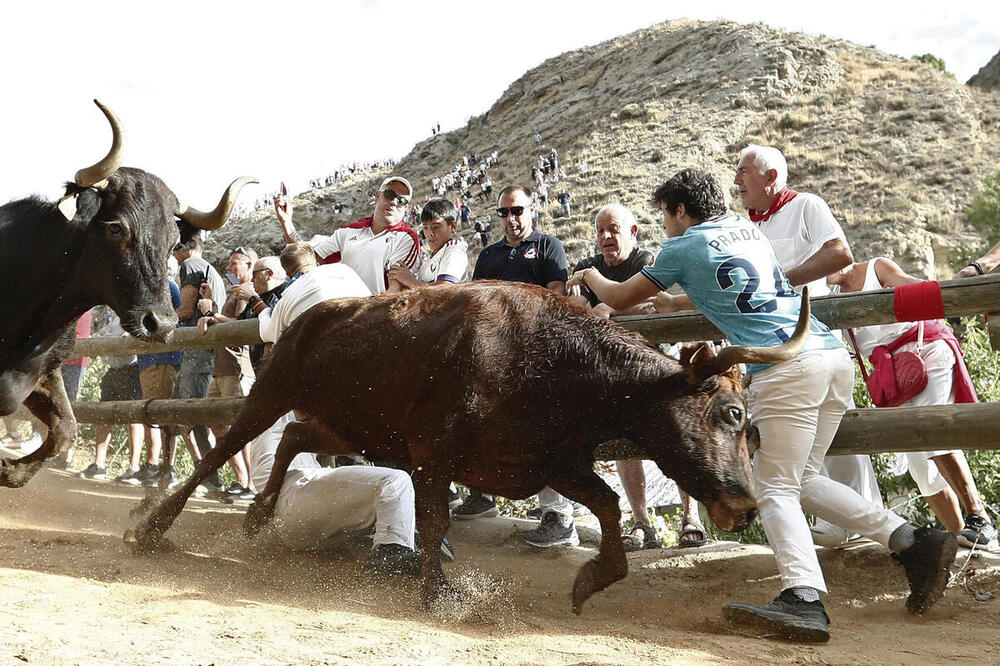 El Pilón concluye tras ocho encierros de pura emoción