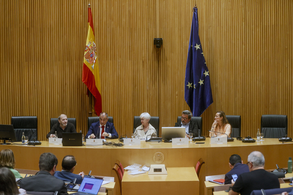 El consejero Óscar Chivite en su comparecencia de esta mañana en el Congreso de los Diputados