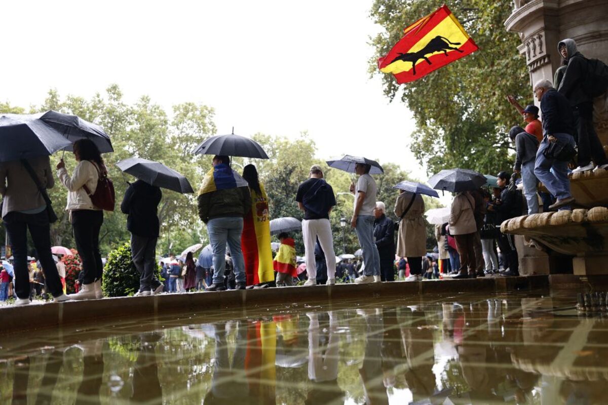 Madrid acoge el desfile de la Fiesta Nacional con la vista puesta en el cielo  / RODRIGO JIMENEZ