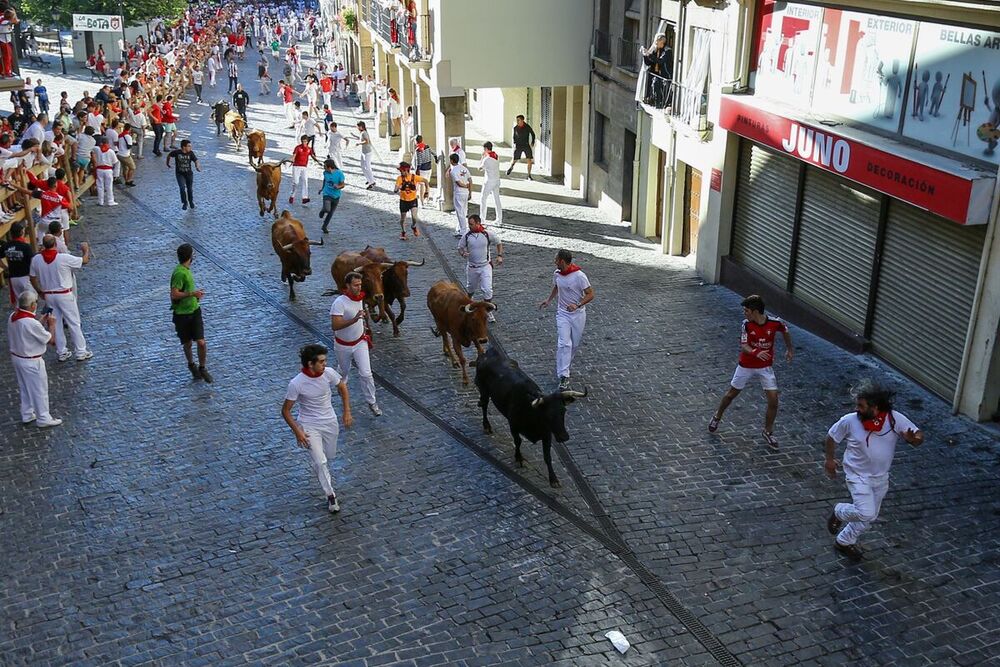 Las vacas de Macua ofrecen un rápido encierro en Estella