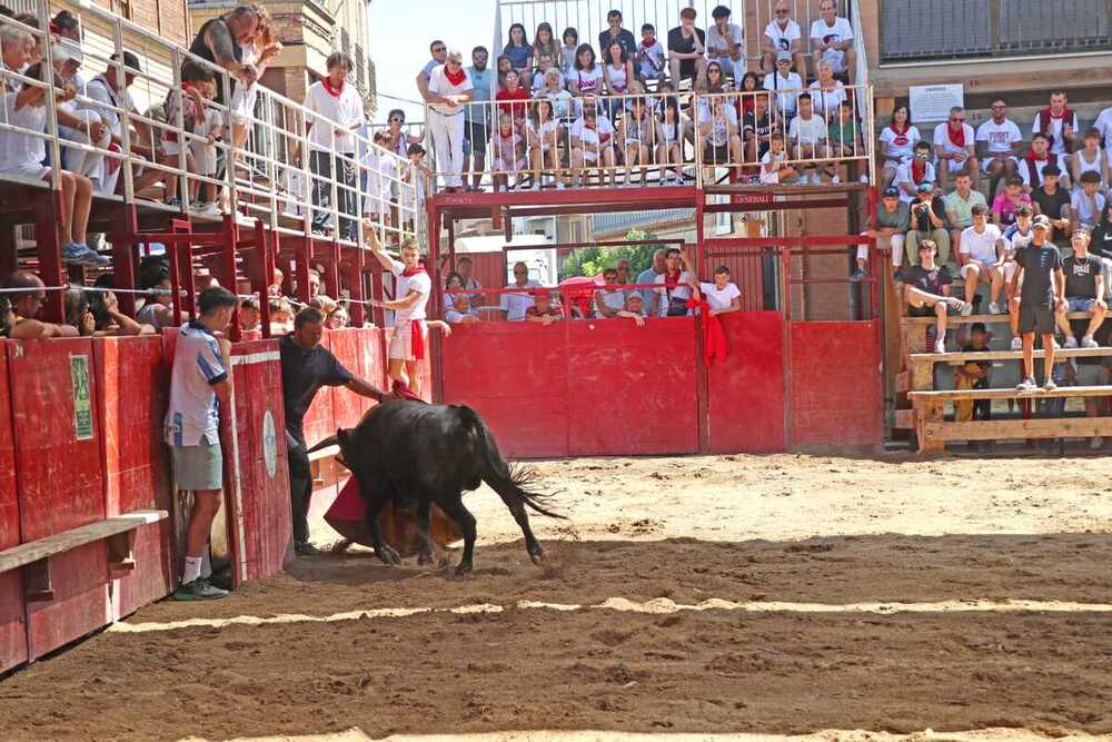 Imagen de la cogida en la plaza