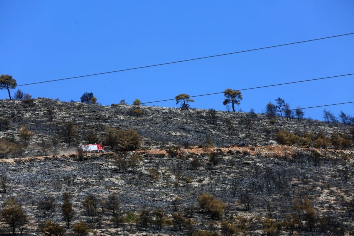 Wildfire in Greece's Attica region  / ALEXANDROS BELTES