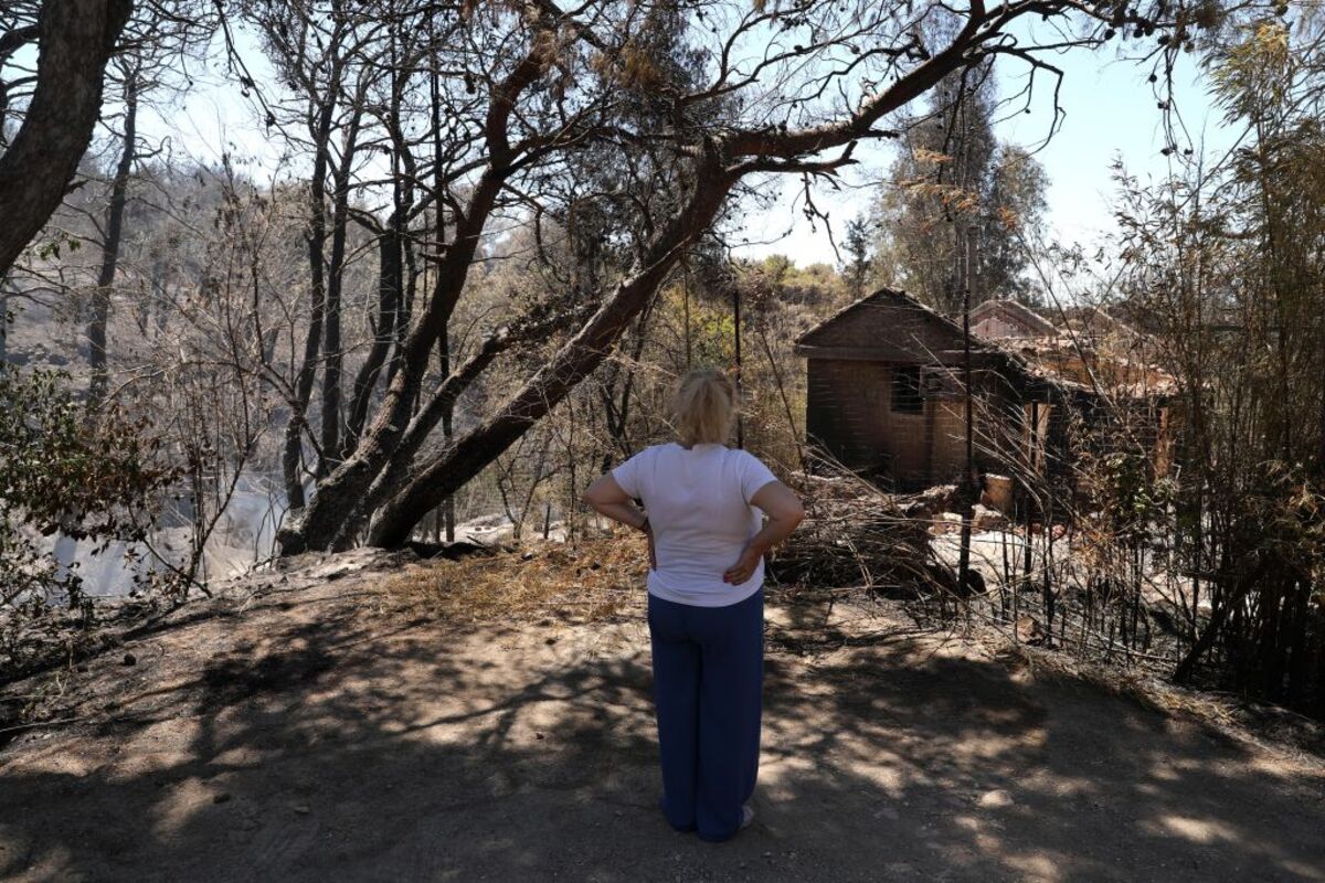 Wildfire in Greece's Attica region  / GEORGE VITSARAS