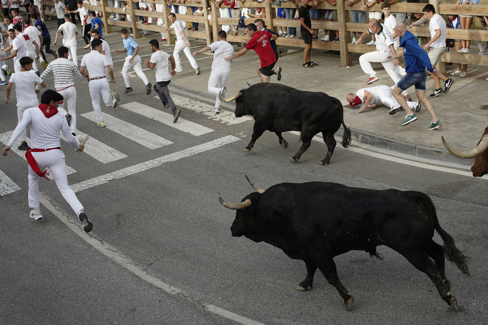 El quinto encierro de Tafalla deja 9 heridos