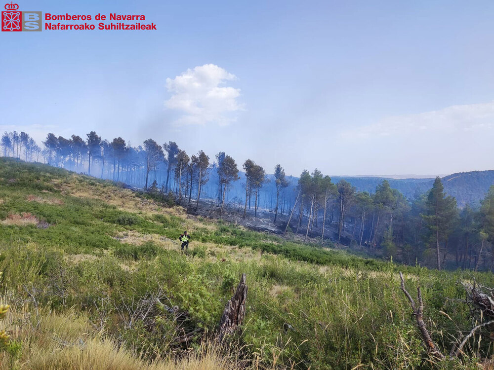 Bomberos trabajan en sofocar un incendio forestal en Cáseda