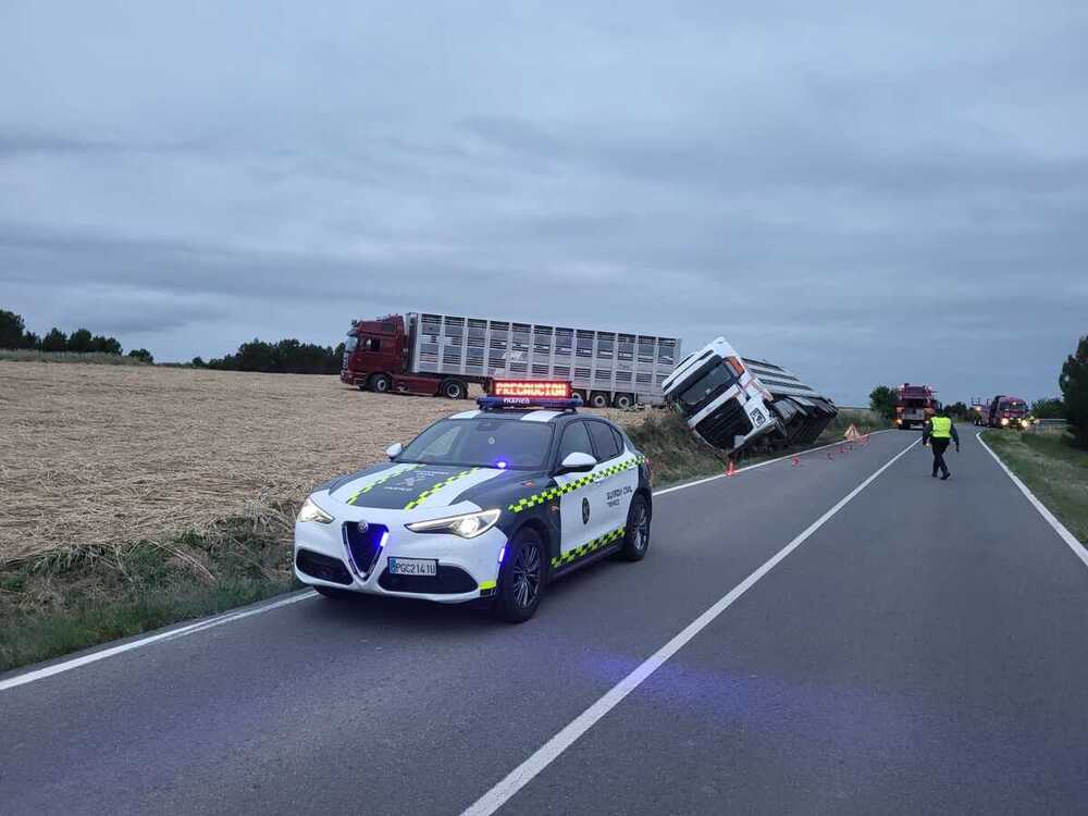 Vuelca en Lodosa un camión cargado con 189 cerdos