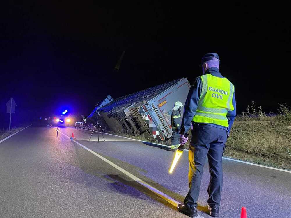 Vuelca en Lodosa un camión cargado con 189 cerdos