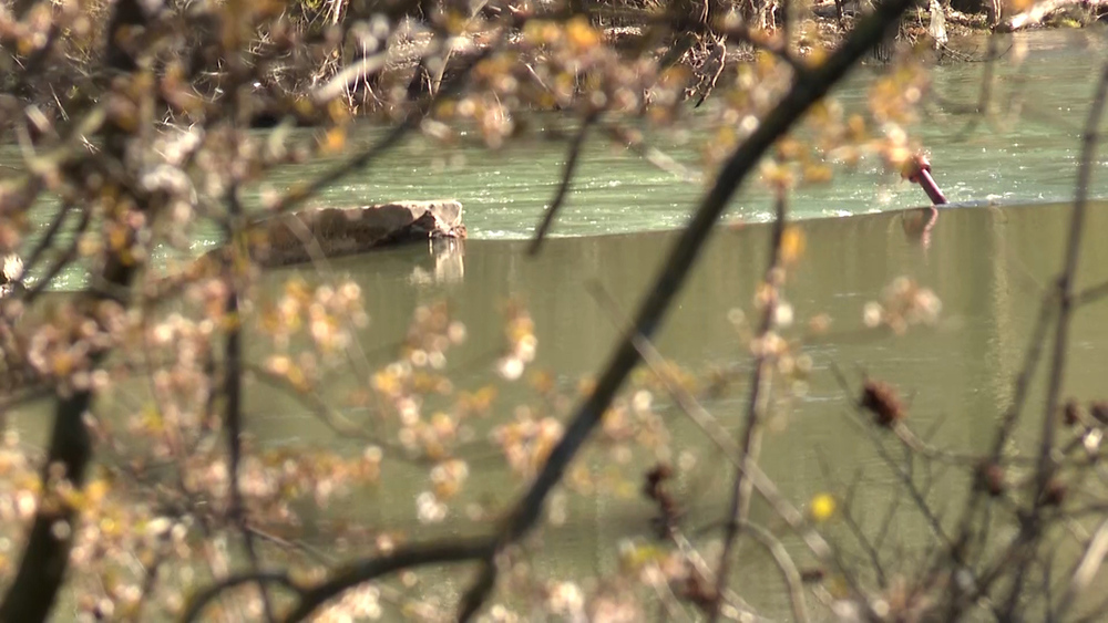 Río Arga a su paso por el barrio de la Rochapea