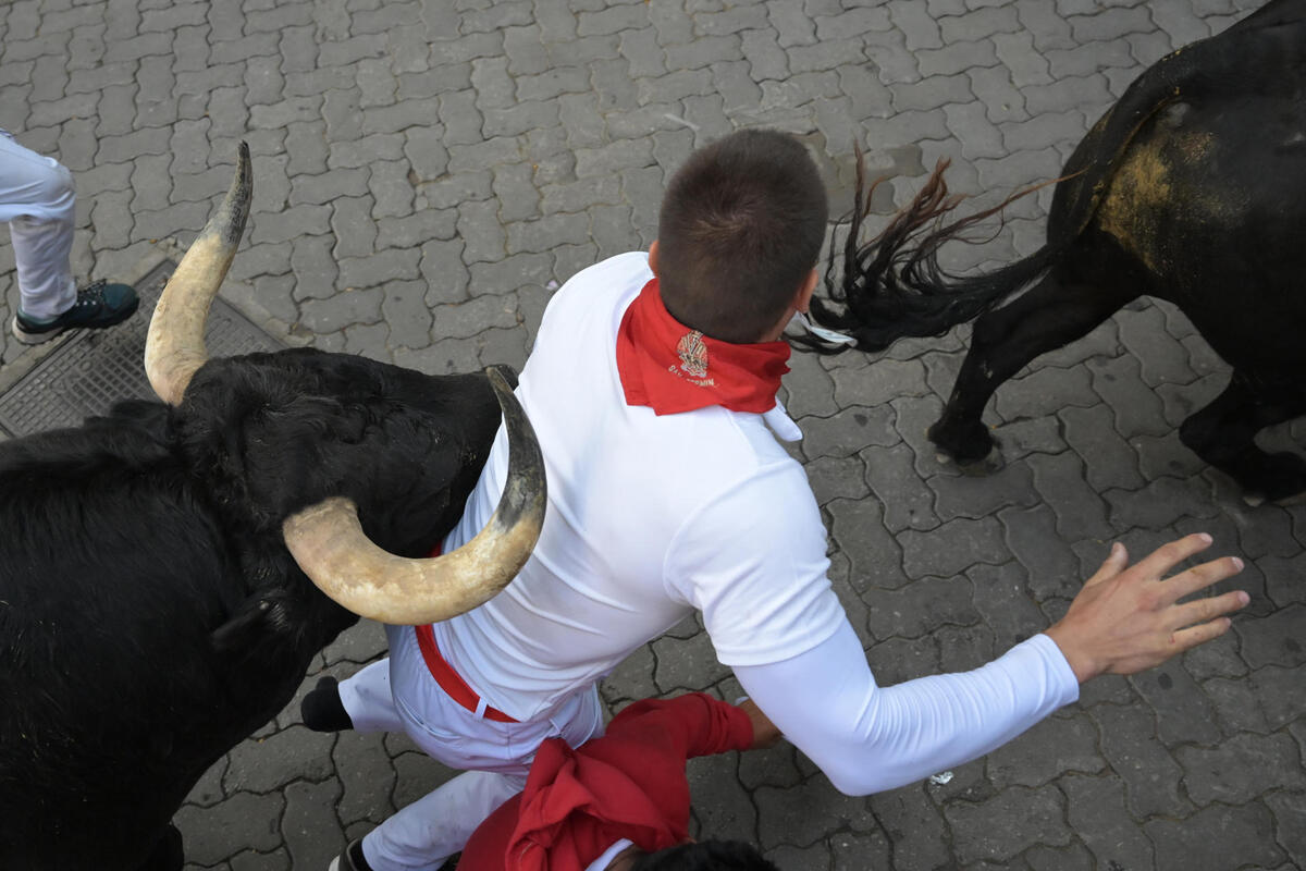 Los toros de Domingo Hernández en el quinto encierro de los Sanfermines  / EFE