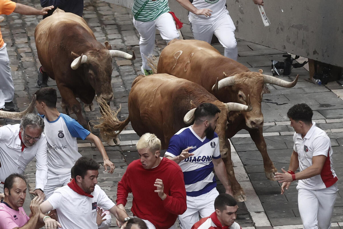 Los toros de Domingo Hernández en el quinto encierro de los Sanfermines  / EFE