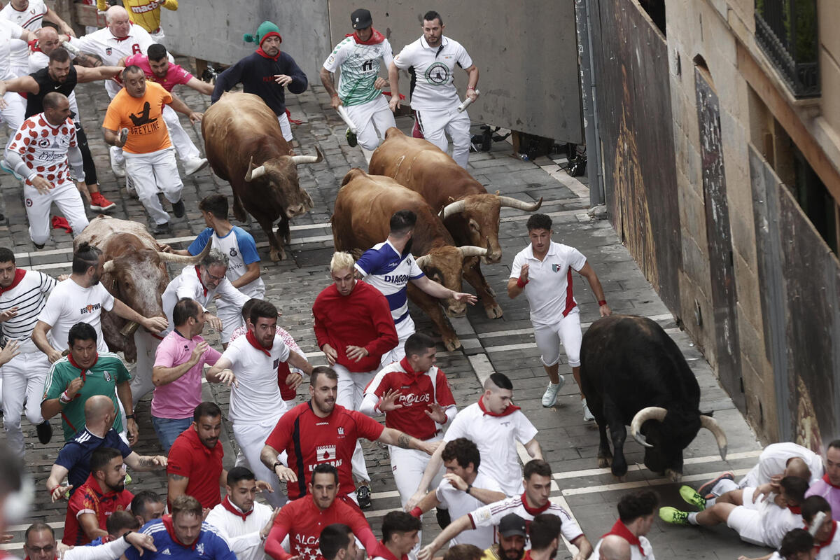 Los toros de Domingo Hernández en el quinto encierro de los Sanfermines  / EFE