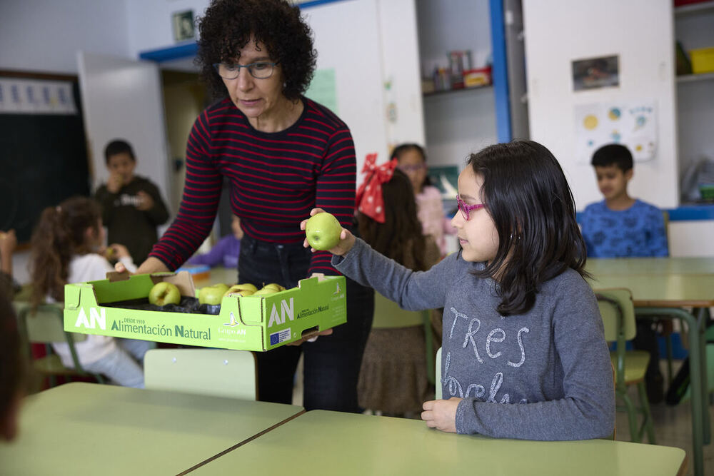 Más de 15.000 niños y niñas de 151 escuelas de Navarra participan en el plan para promover el consumo de fruta y verdura