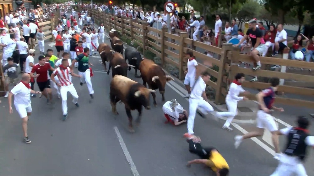 Un herido en el segundo encierro de las fiestas de Santa Ana