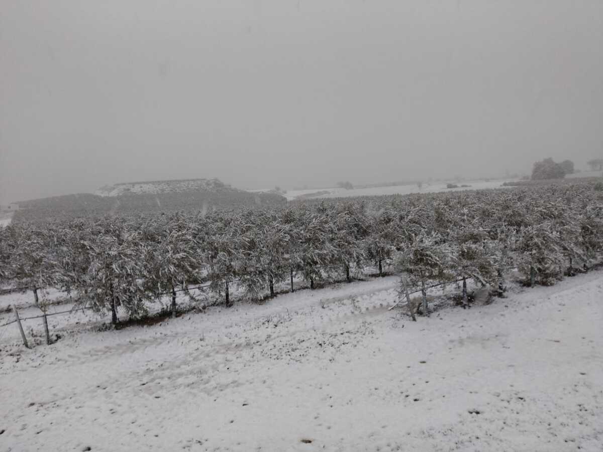 La Ribera se tiñe de blanco - Murchante  / NATV