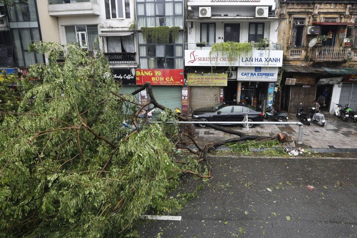 14 dead and 220 injured after typhoon Yagi makes landfall in Vietnam  / LUONG THAI LINH