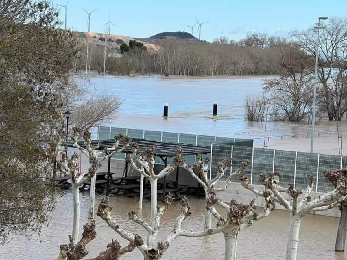 Complejo municipal Ribotas, Tudela  / navarratelevision.es