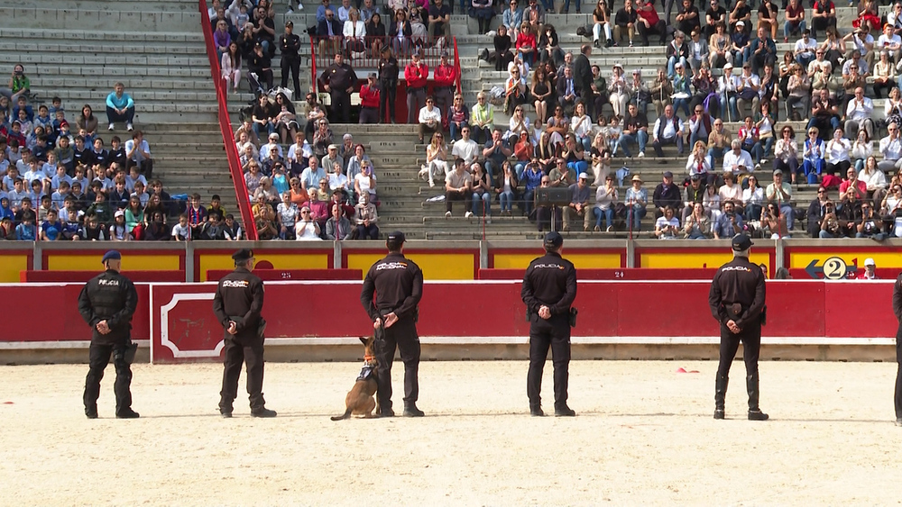 Policía Nacional 