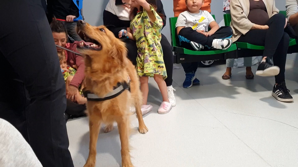 Imagen de un perro visitando a los pacientes en el Hospital Universitario de Navarra