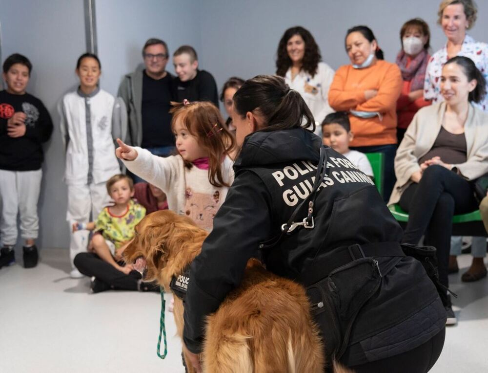 Perros en el hospital, la mejor medicina