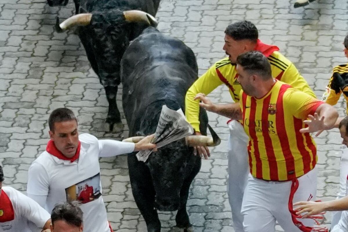 Los veloces y peligrosos Jandilla, este viernes en el sexto encierro de los Sanfermines  / AINHOA TEJERINA