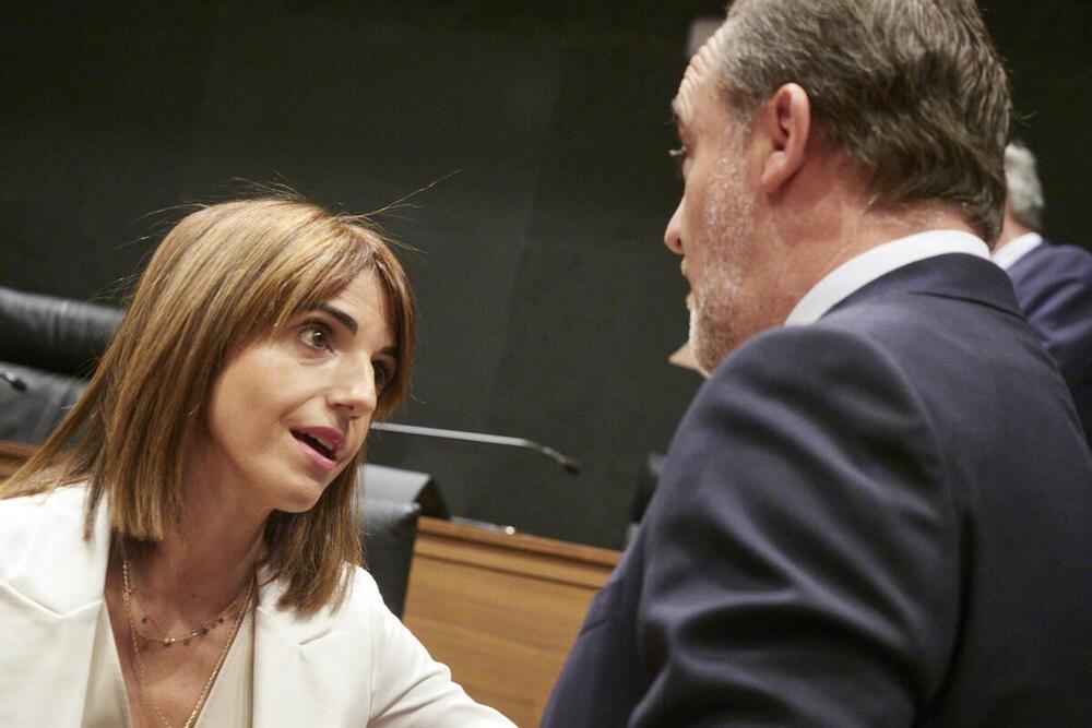 La parlamentaria de UPN María Jesús Valdemoros conversa con el portavoz del partido Javier Esparza. - Eduardo Sanz - Europa Press 