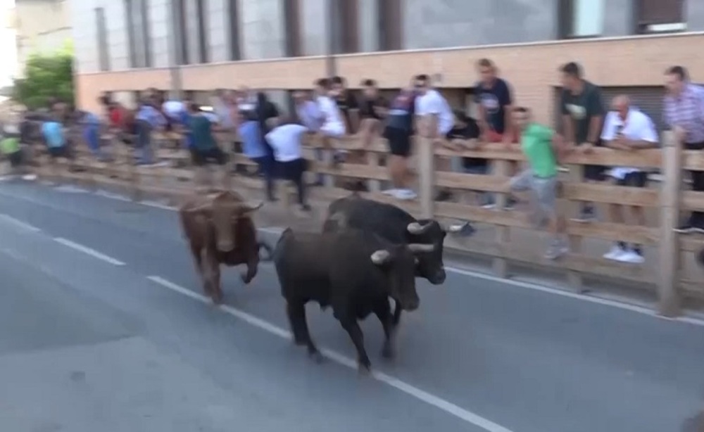 Vistoso encierro de Larraga con novillos de Macua