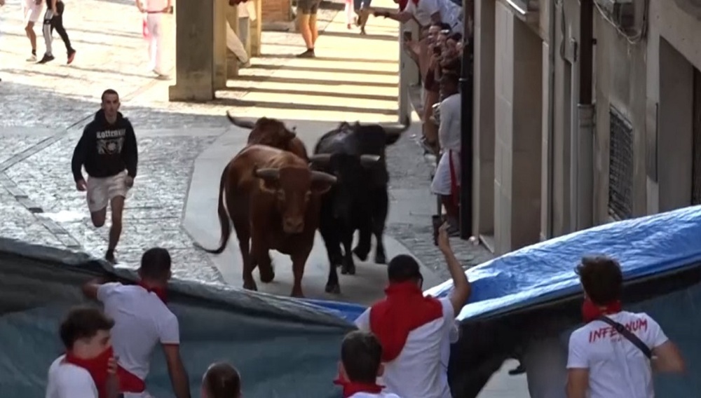 Identificado por obstruir el encierro de Estella - Lizarra