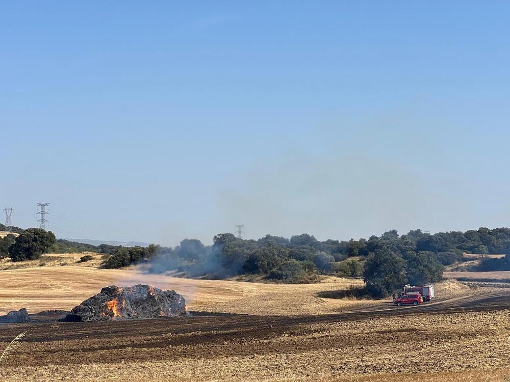 Controlado un incendio de vegetación en Artajona