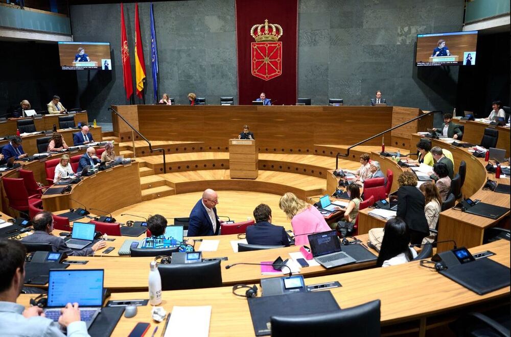 Imagen de un pleno del Parlamento de Navarra