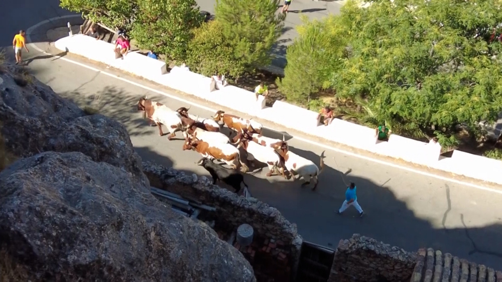 Ayna y Pamplona comparten la adrenalina del encierro