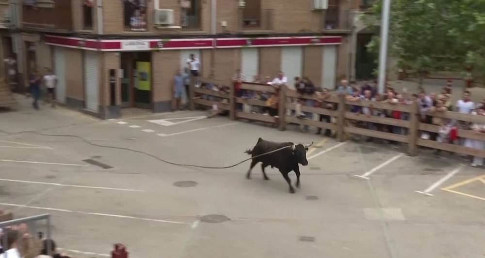 Un dispositivo geolocaliza al toro con soga de Lodosa