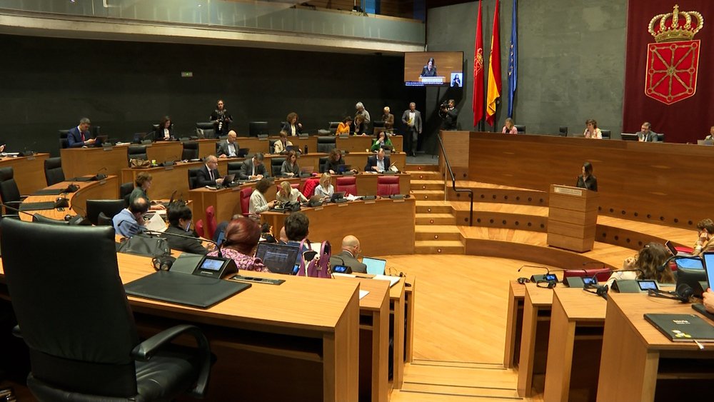 Imagen de un pleno del Parlamento de Navarra