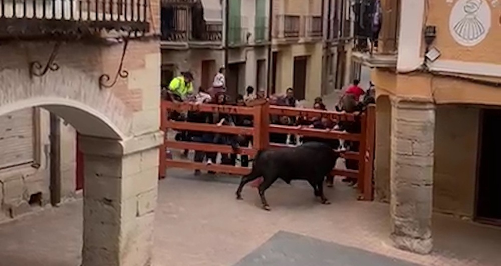 Herido grave un hombre 56 años corneado en Los Arcos