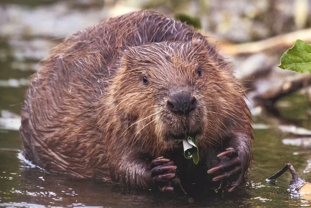 Eduardo Blanco fotografía 'Un kilómetro de biodiversidad'