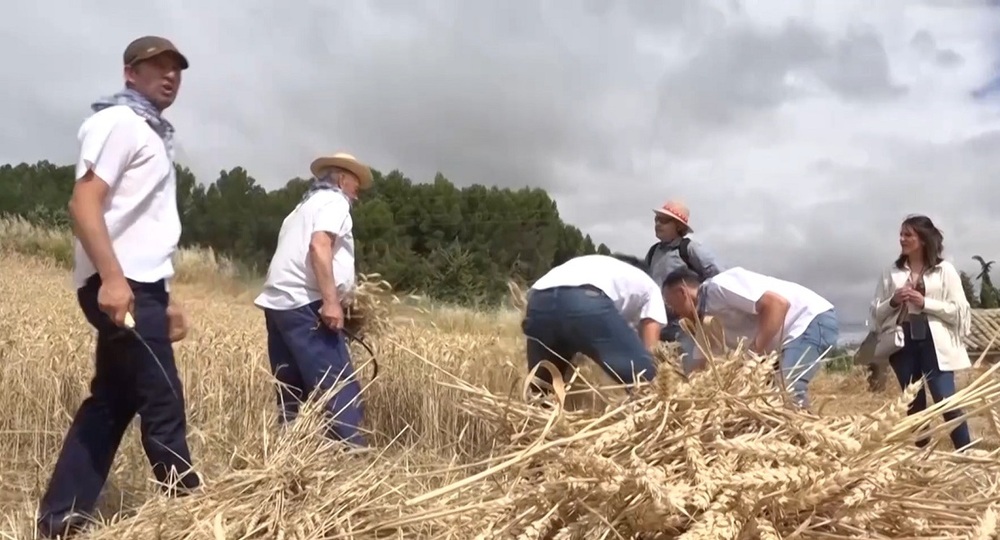 Miranda de Arga rememora los oficios del campo