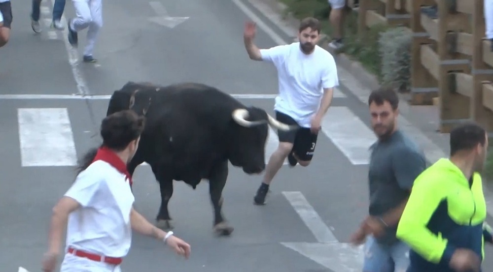 Sorpresa ante el cambio de toros para el encierro de Tudela