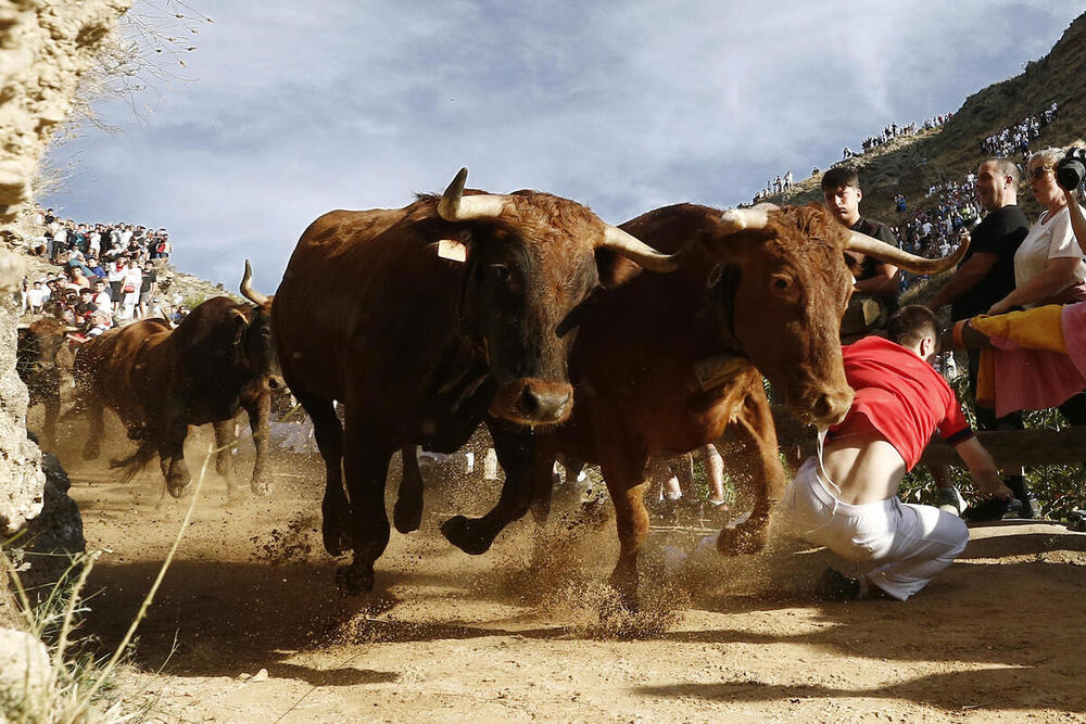 La casta navarra impone su carácter en el Pilón