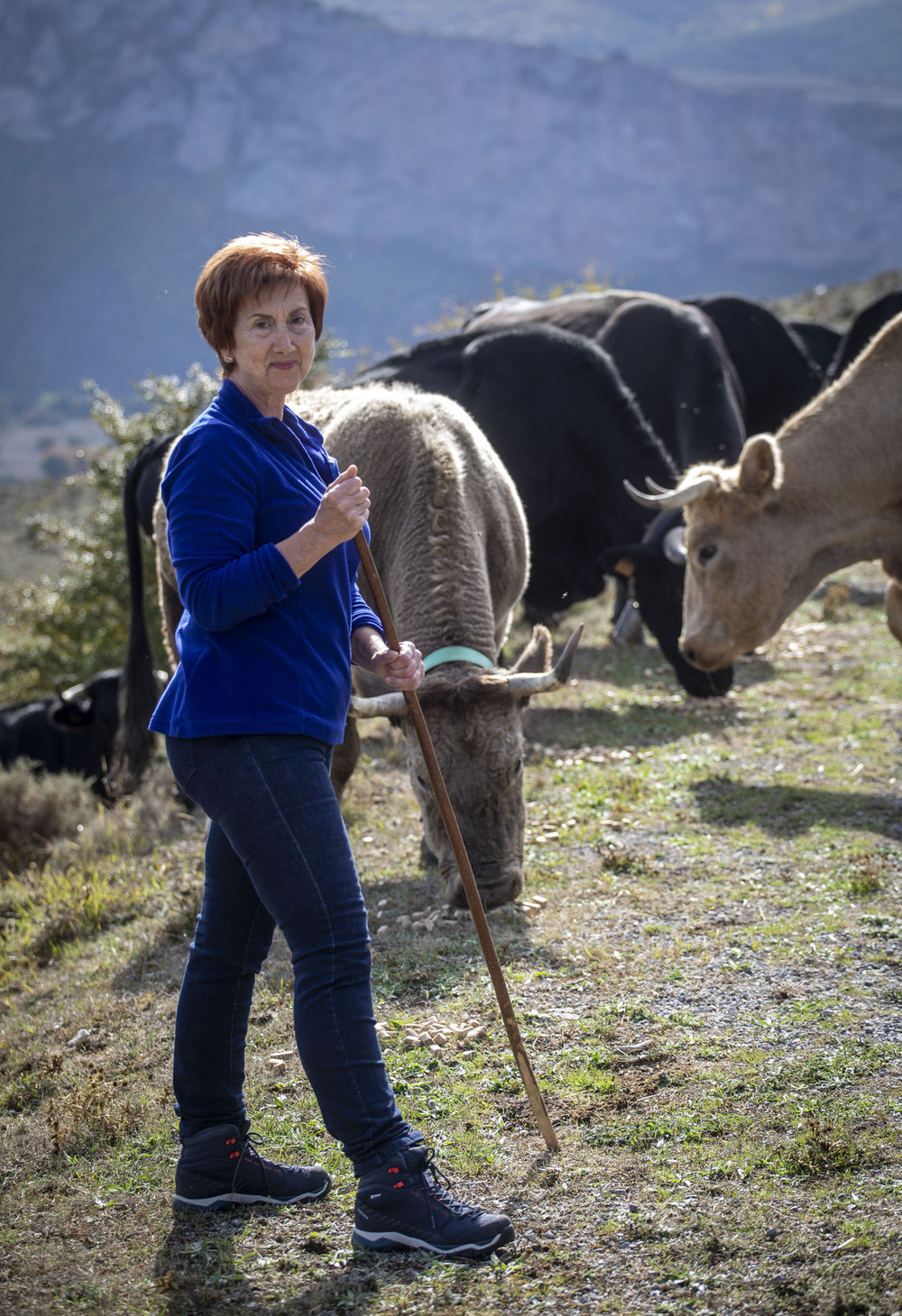 Campaña de ARAG para mostrar el trabajo del sector primario