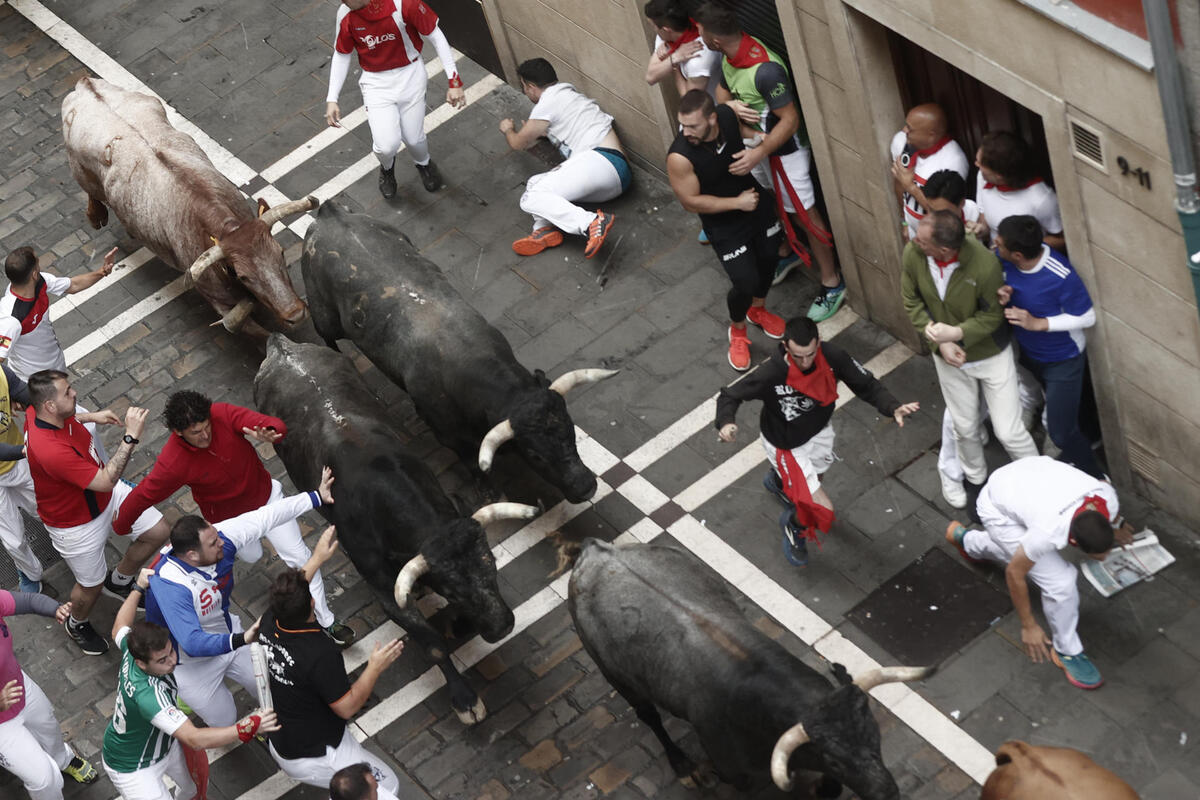 Los toros de la mítica ganadería de Miura cierran los encierros de los Sanfermines  / EFE