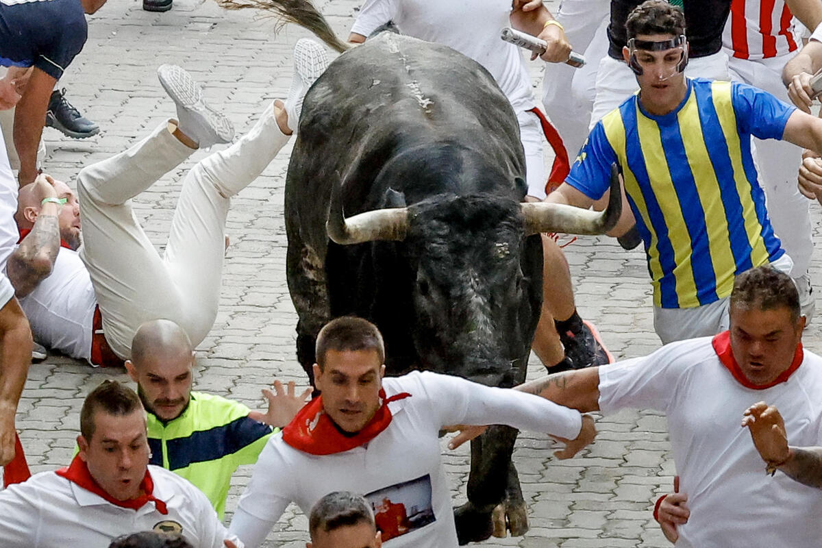 Los toros de la mítica ganadería de Miura cierran los encierros de los Sanfermines  / EFE