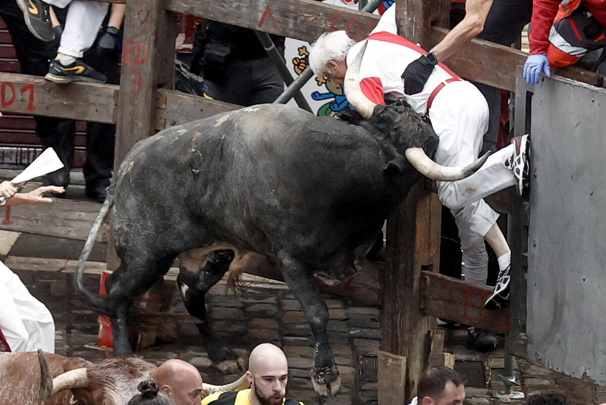 Los toros de la mítica ganadería de Miura cierran los encierros de los Sanfermines  / EFE