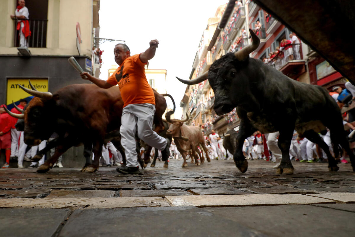 Los toros de la mítica ganadería de Miura cierran los encierros de los Sanfermines  / EFE