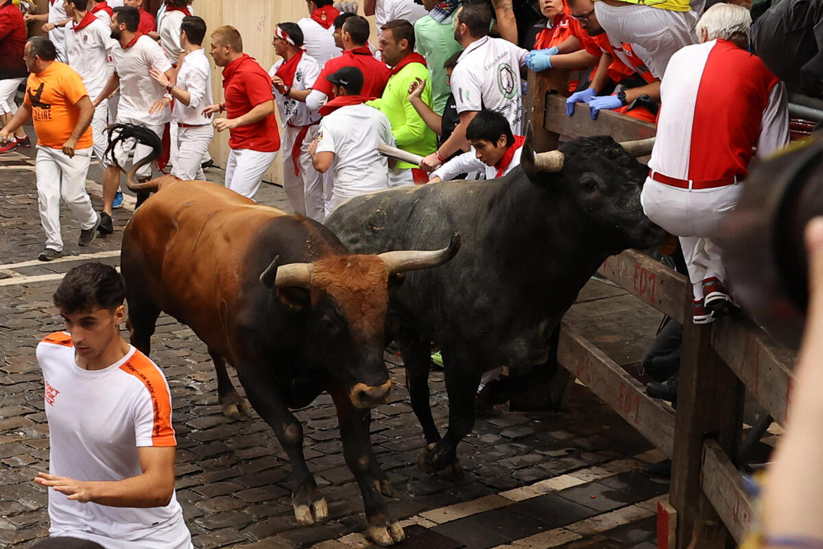 Los toros de la mítica ganadería de Miura cierran los encierros de los Sanfermines